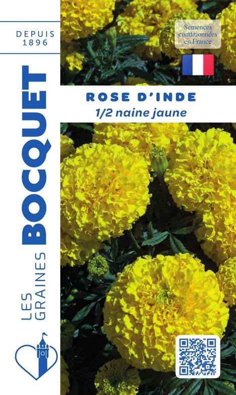 graines-bocquet-rose-d-inde-demi-naine-jaune-fleurs-1-5-g image 1