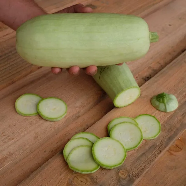 la-bo-te-graines-graines-l-gumes-odessa-courgette-bio-sucr-e image 1