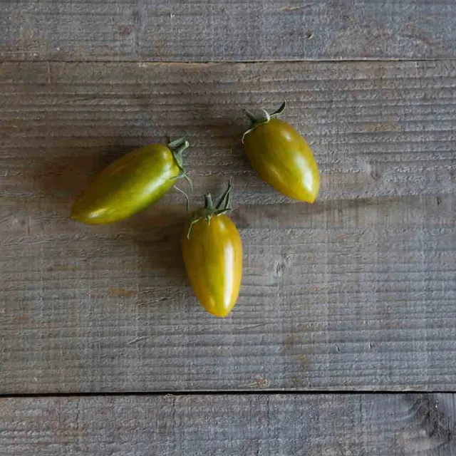 ferme-de-sainte-marthe-artisan-green-tiger-tomate-cerise-bio image 1