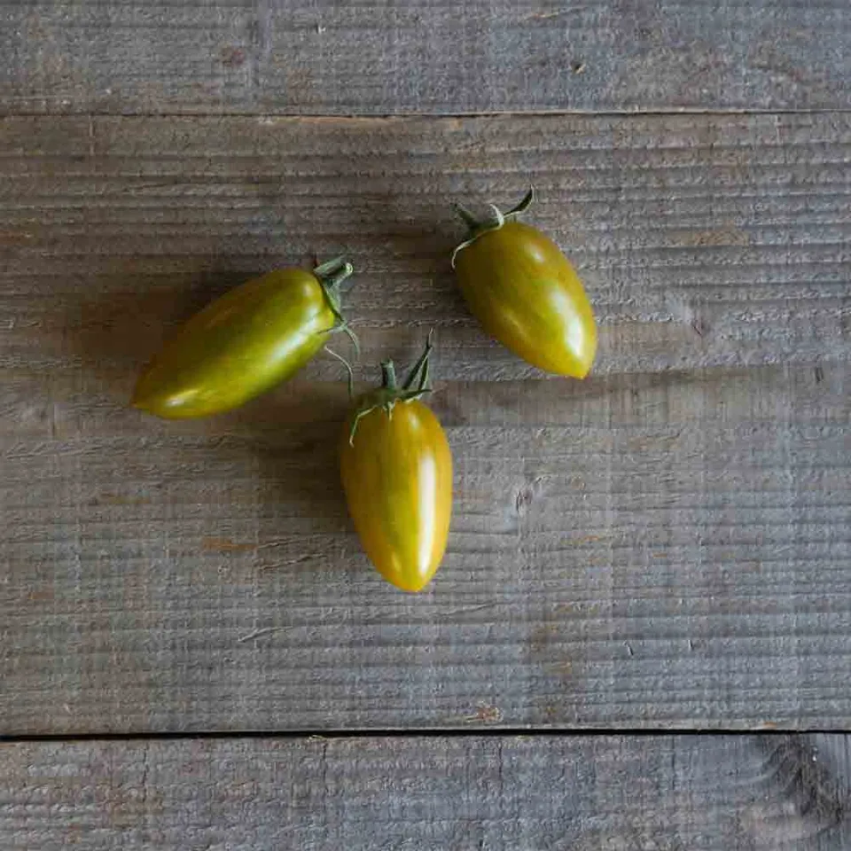 ferme-de-sainte-marthe-artisan-green-tiger-tomate-cerise-bio image 1