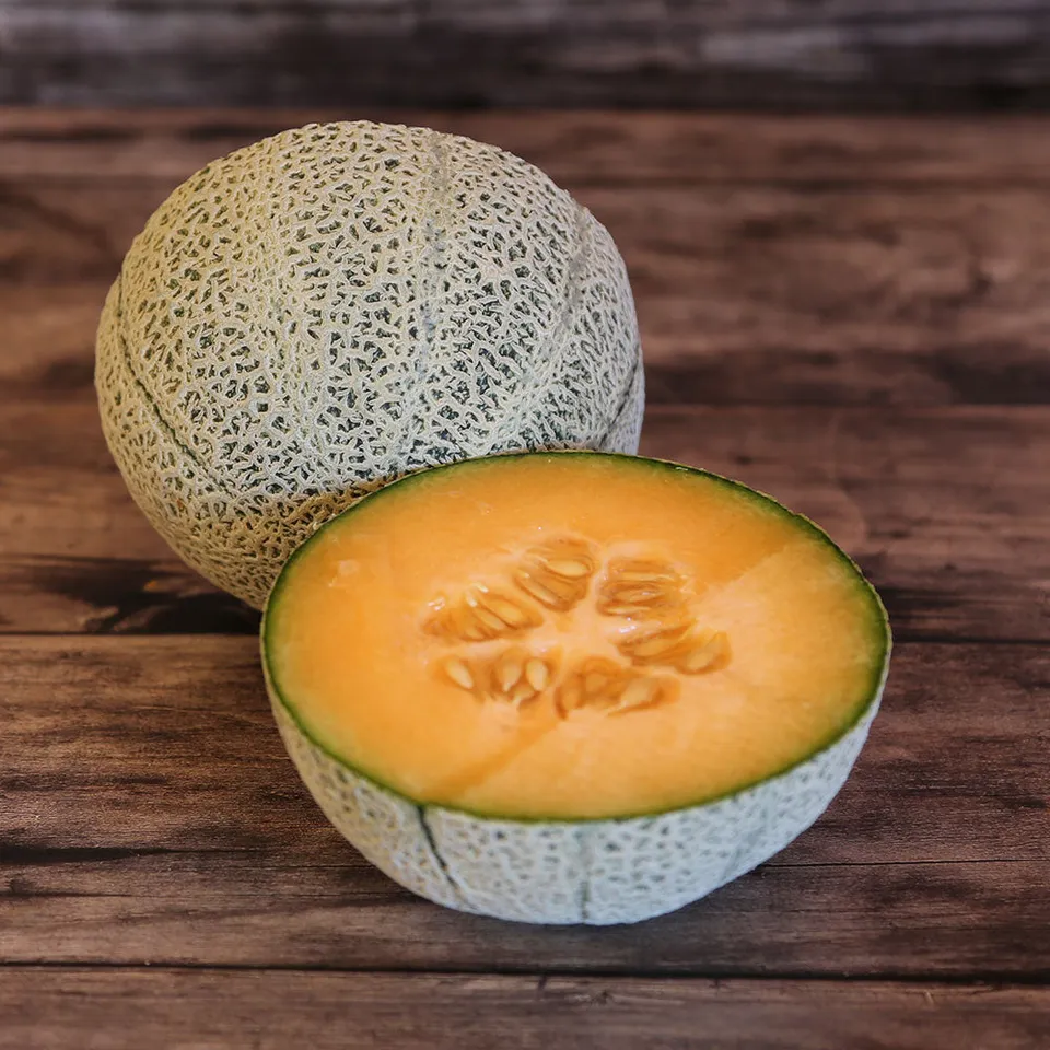 ferme-de-sainte-marthe-melon-chilton-graines-potag-res-bio-sucr image 1