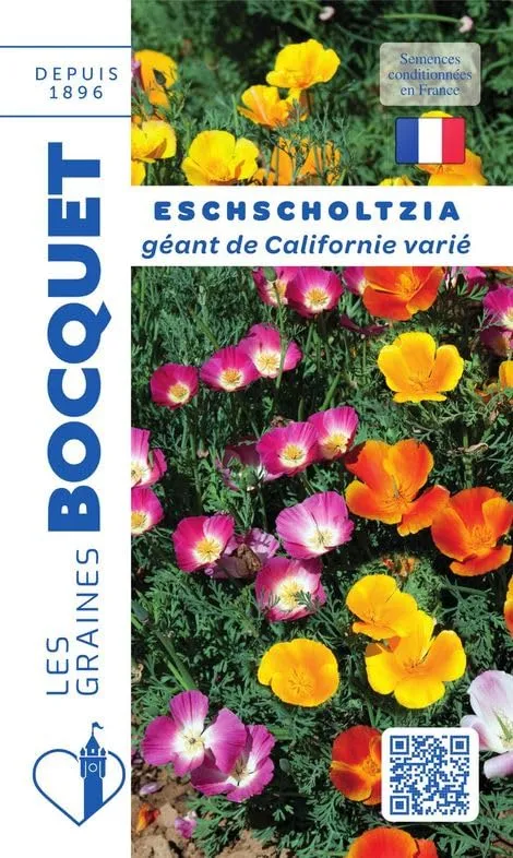 graines-bocquet-eschscholzia-g-ant-californie-graines-fleurs-1-g-annuel image 1