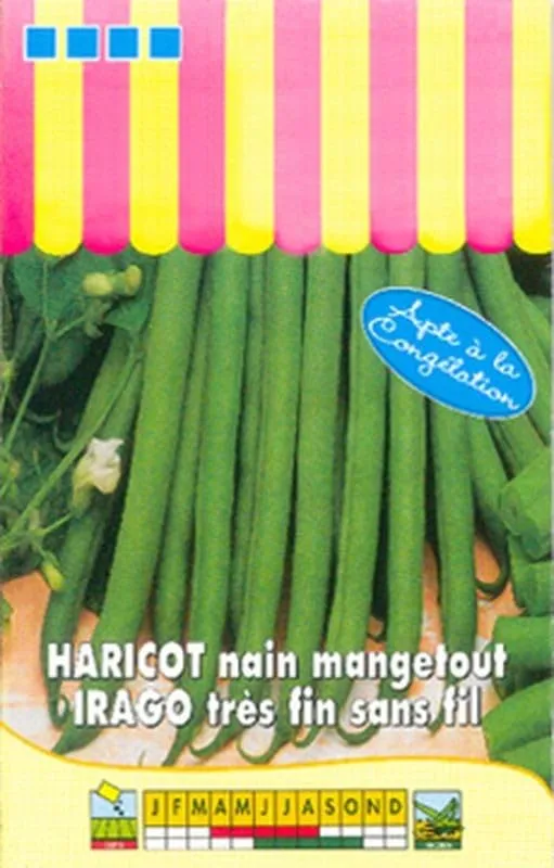 graines-bocquet-irago-graines-de-haricot-nain-mangetout-100g image 1