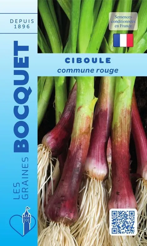 graines-bocquet-ciboule-rouge-graines-aromatiques-1-g-rustique image 1