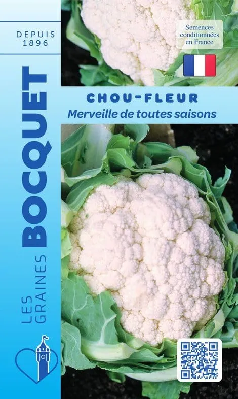 graines-bocquet-merveille-de-toutes-saisons-graines-chou-fleur-1-g image 1