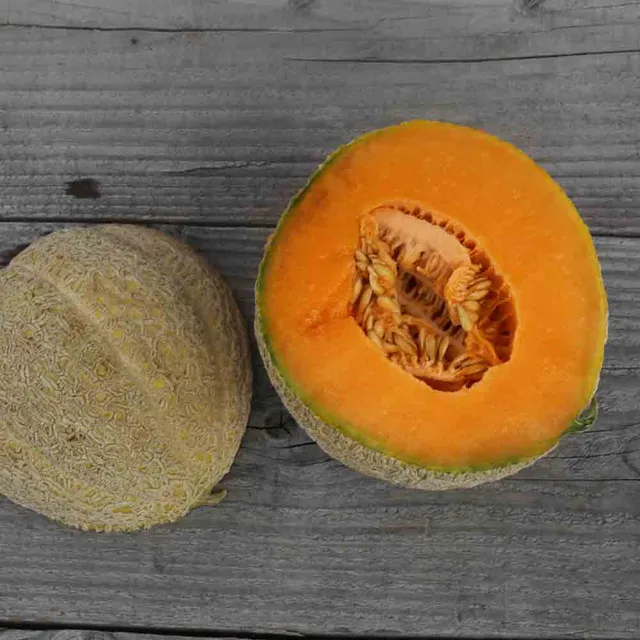 ferme-de-sainte-marthe-pride-of-wisconsin-graines-melon-bio-sucr image 1