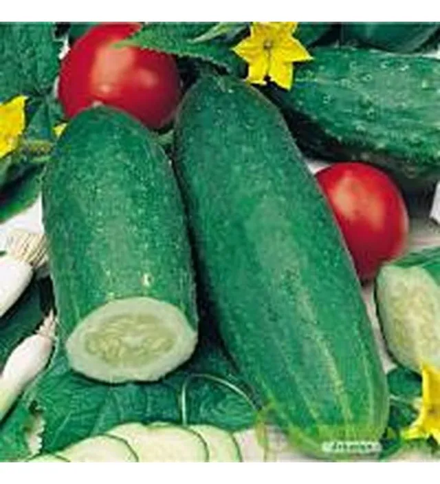 graines-bocquet-concombre-d-likatess-graines-3-g-croquant image 1