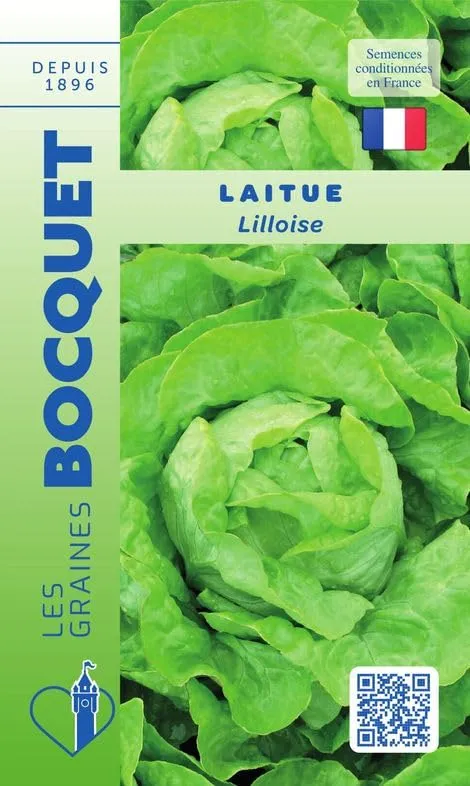 graines-bocquet-laitue-lilloise-sachet-graines-2-g-beurre image 1