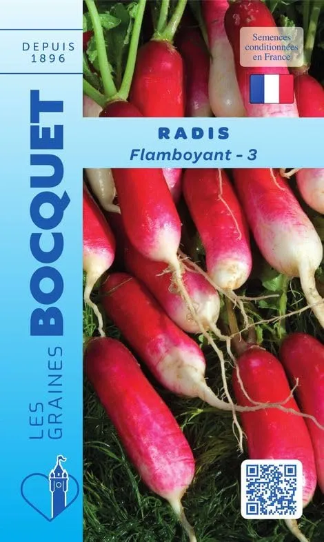 graines-bocquet-flamboyant-3-graines-radis-demi-long-10-g image 1