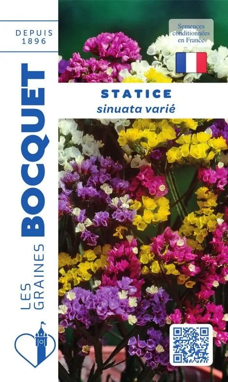 graines-bocquet-statice-sinuata-vari-graines-fleurs-0-5-g-s-ch-es image 1