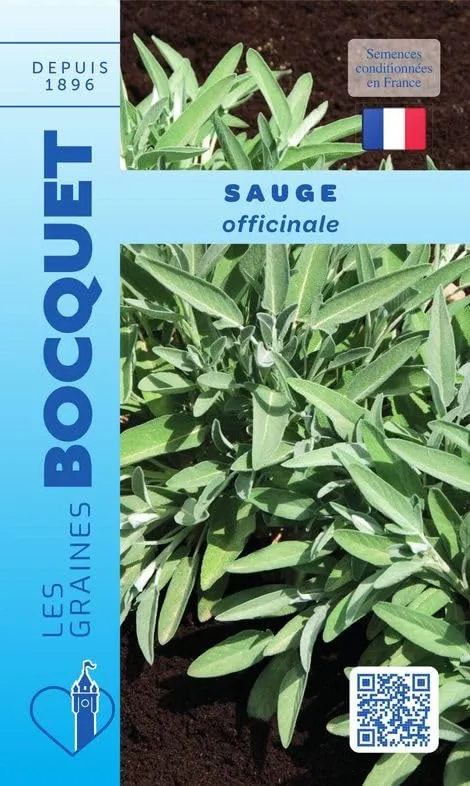 graines-bocquet-sauge-officinale-graines-aromatiques-1-g image 1