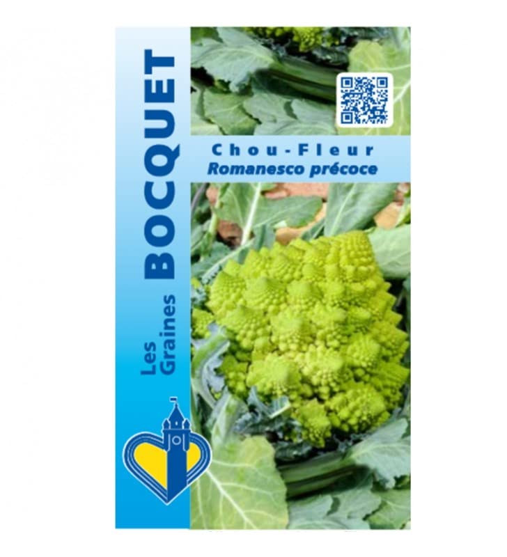 graines-bocquet-romanesco-pr-coce-graines-chou-fleur-1-g-vert image 1