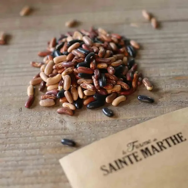 ferme-de-sainte-marthe-m-lange-haricots-nains-graines-3-couleurs image 1