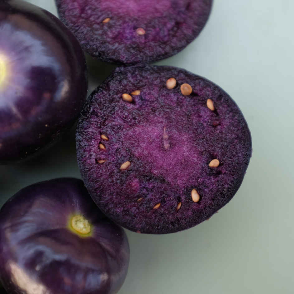 la-bo-te-graines-physalis-deep-purple-bio-graines-l-gumes-pourpre image 1