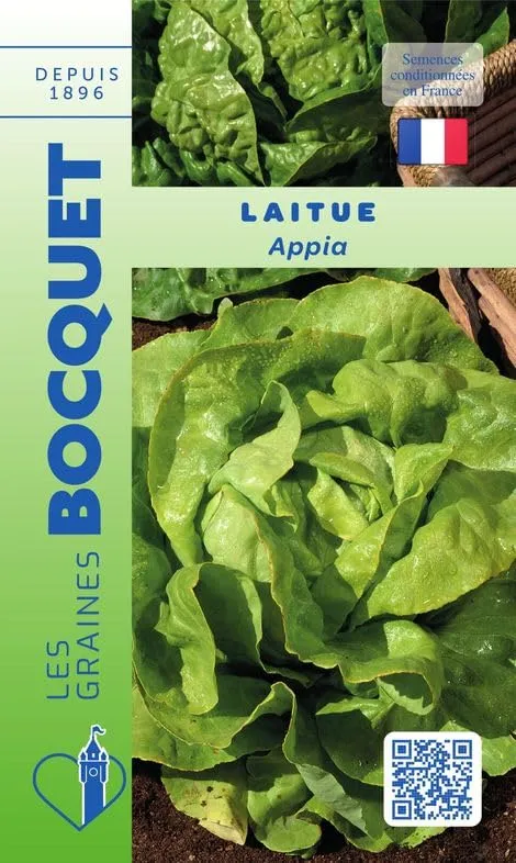 graines-bocquet-potag-res-laitue-appia-graines-3-g-pomm-e image 1