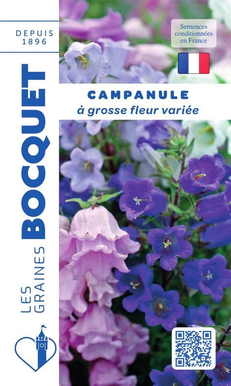 graines-bocquet-campanule-grosse-fleur-graines-fleurs-0-5-g-vari-e image 1