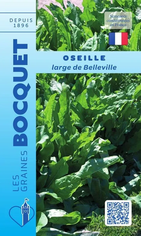 graines-bocquet-oseille-belleville-graines-potag-res-3-g-vivace image 1