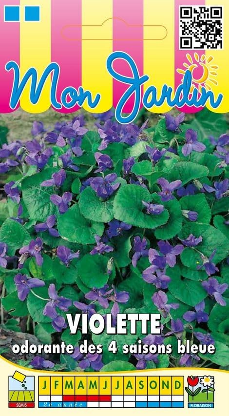 graines-bocquet-4-saisons-graines-de-violette-odorante-0-3-g image 1