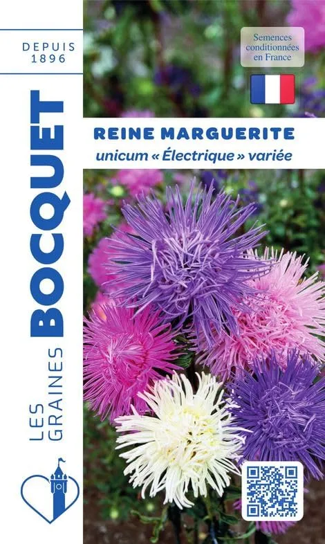 graines-bocquet-reine-marguerite-unicum-lectrique-graines-0-8-g image 1