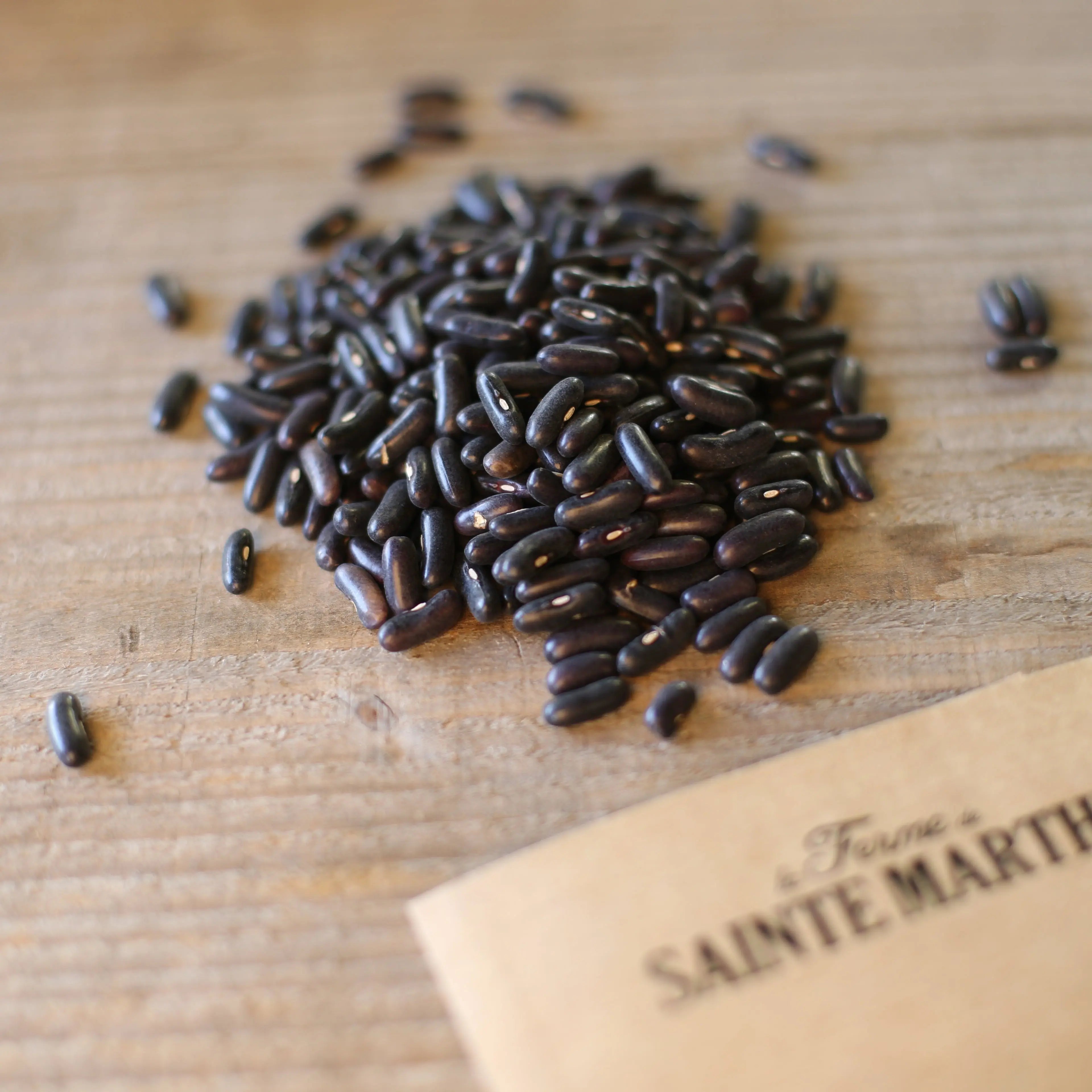ferme-de-sainte-marthe-haricot-nain-pongo-ab-graines-sachet image 2