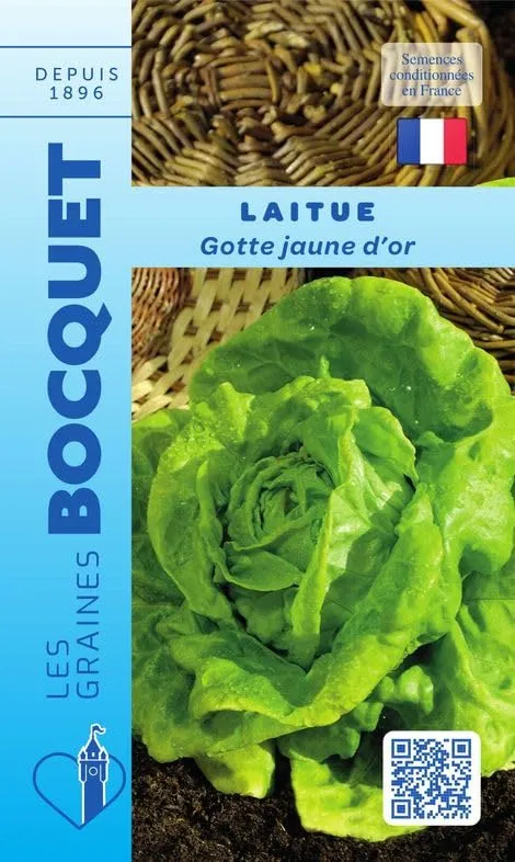 graines-bocquet-laitue-gotte-jaune-d-or-potag-res-4-g-pomme image 1