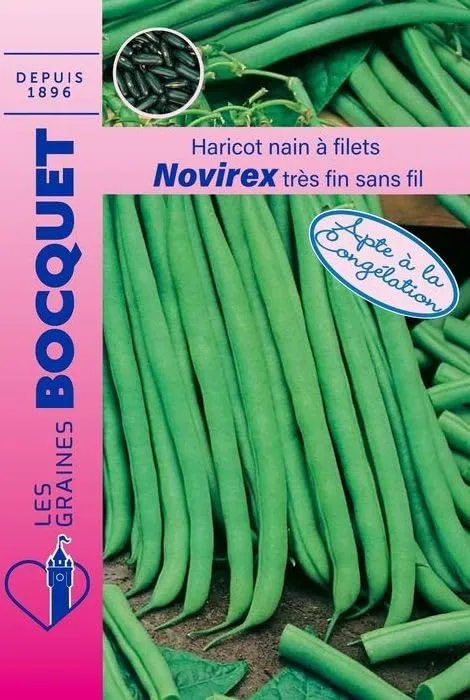 graines-bocquet-novirex-graines-de-haricot-nain-filet-60-g image 1