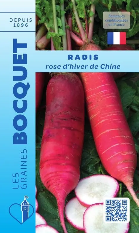 graines-bocquet-radis-rose-d-hiver-de-chine-graines-10-g image 1