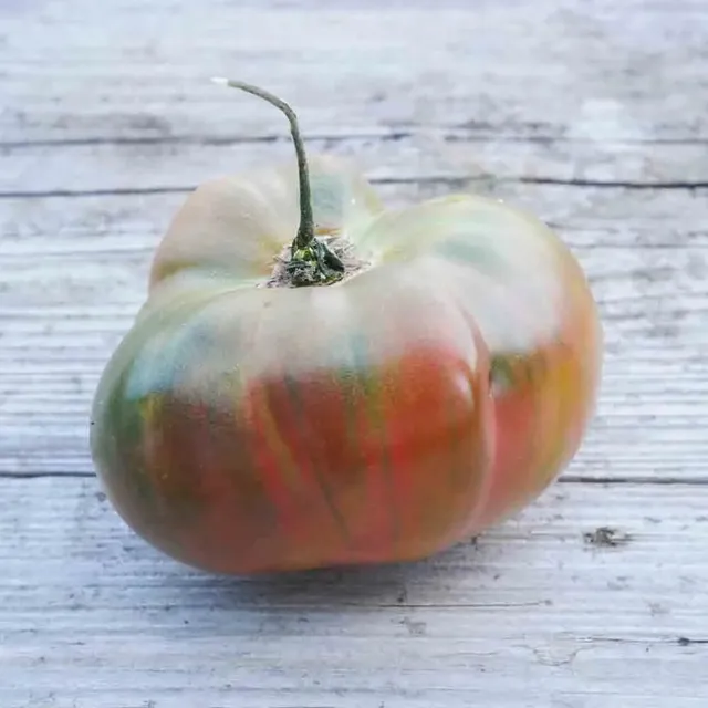 ferme-de-sainte-marthe-ananas-noire-graines-de-tomates-bio-gros-fruit image 1