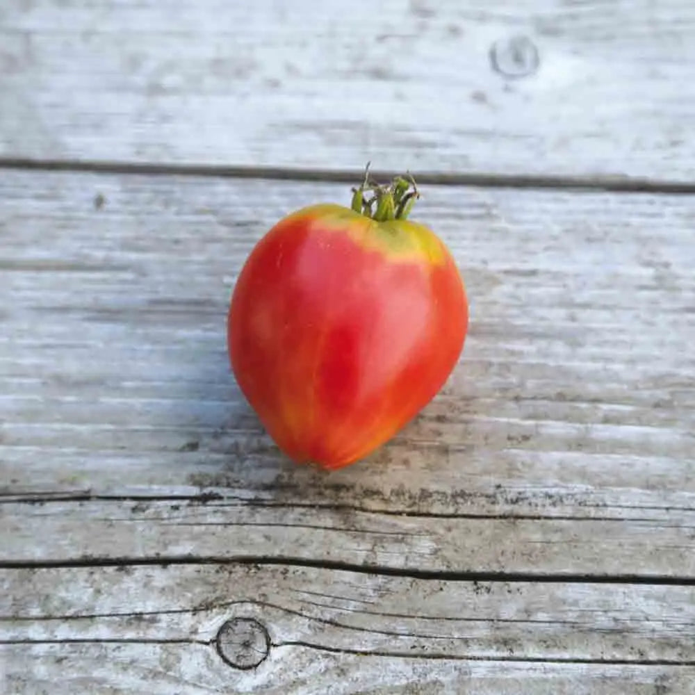 ferme-de-sainte-marthe-graines-potag-res-tomate-german-red-strawberry-bio image 1
