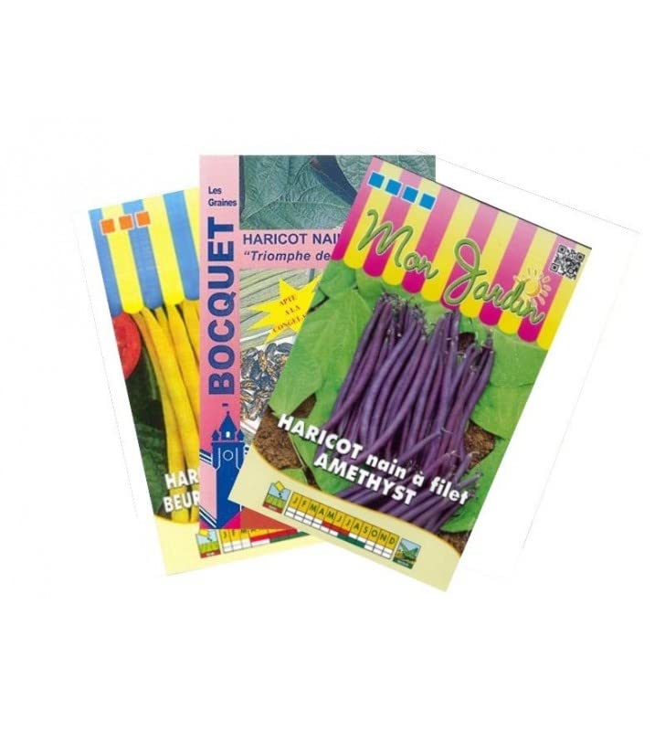 graines-bocquet-lot-haricot-nain-color-graines-semer-3-sachets-300-g image 1