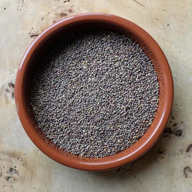 la-bo-te-graines-graines-l-gumes-quinoa-chadmo-bio-semences image 1