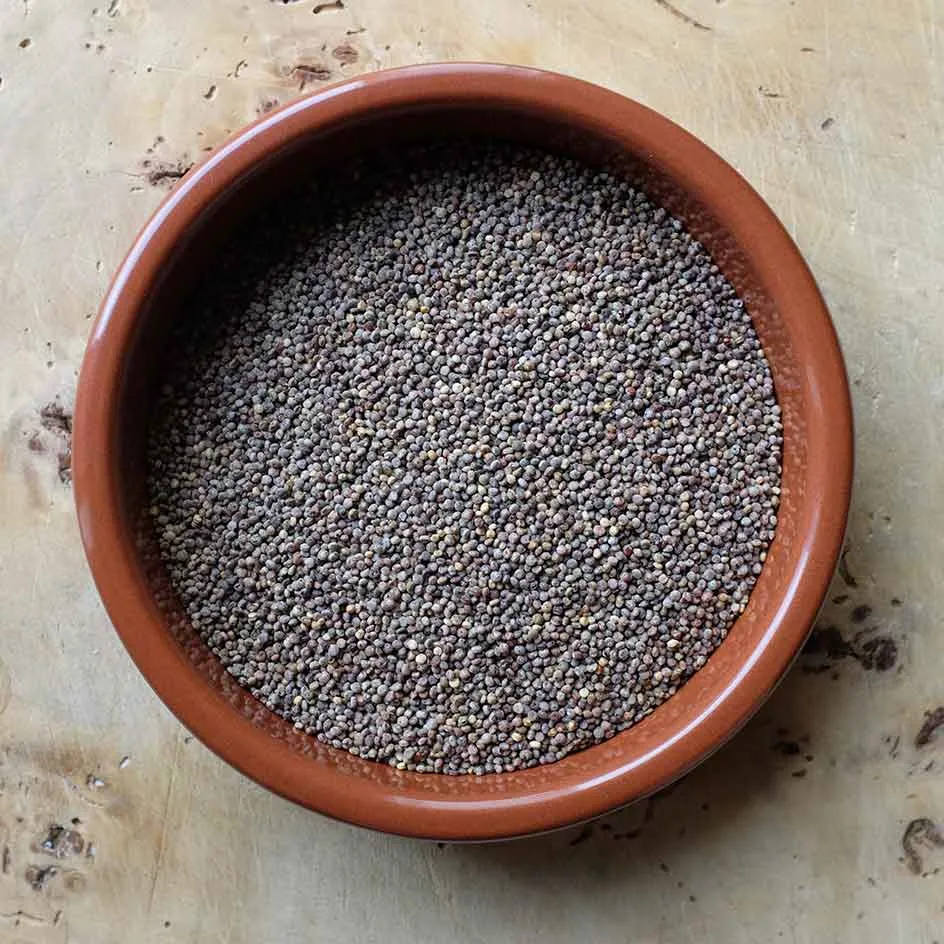 la-bo-te-graines-graines-l-gumes-quinoa-chadmo-bio-semences image 1