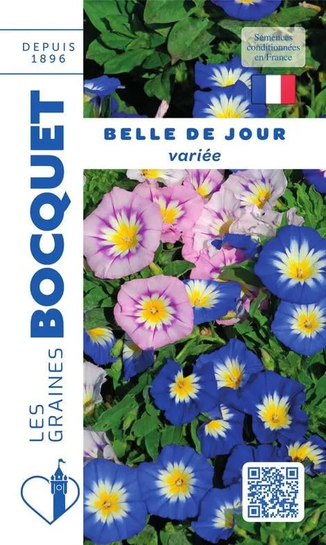 graines-bocquet-belle-de-jour-vari-e-graines-3-g-annuelle image 1