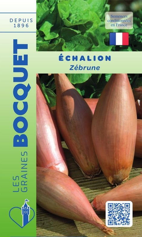 graines-bocquet-echalion-z-brune-cuisse-poulet-graines-1-g-cuivr-e image 1