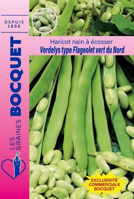 graines-bocquet-haricot-nain-verdelys-graines-115-g-flageolet image 1