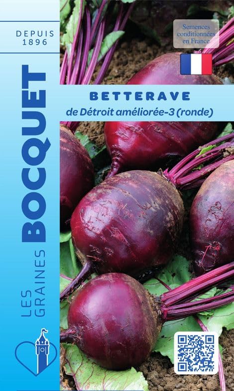 graines-bocquet-betterave-d-troit-3-globe-graines-7-g-racine-rouge image 1
