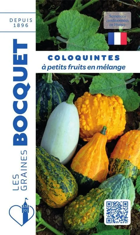 graines-bocquet-coloquinte-petits-fruits-m-lange-graines-fleurs-3-g image 1