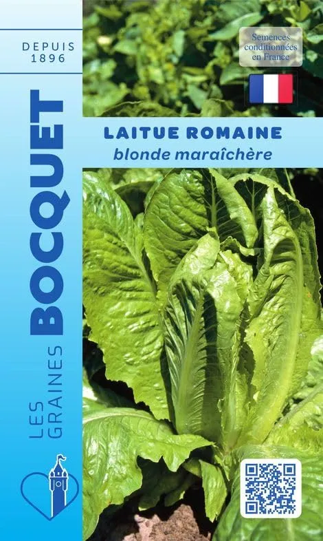 graines-bocquet-laitue-romaine-blonde-mara-ch-re-graines-4-g image 1