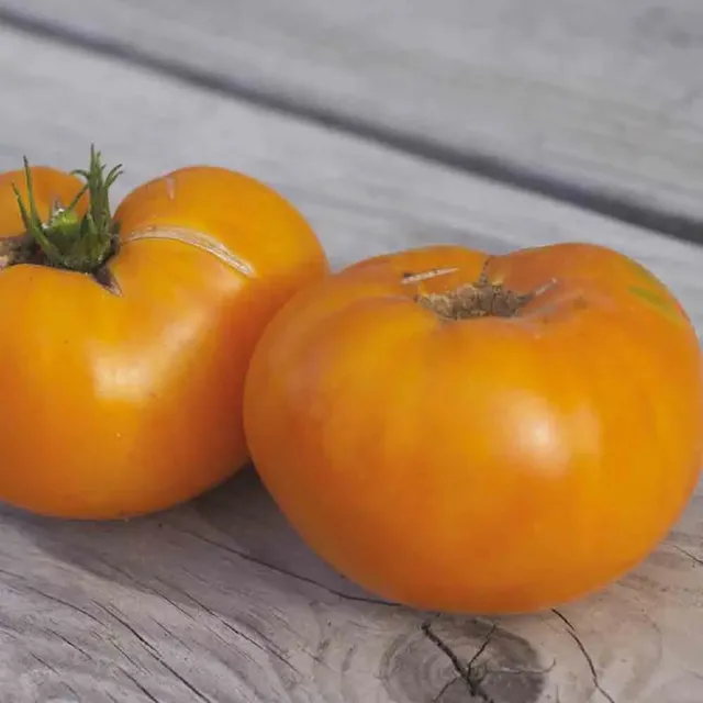 ferme-de-sainte-marthe-tomate-kellogg-s-breakfast-ab-bio image 1