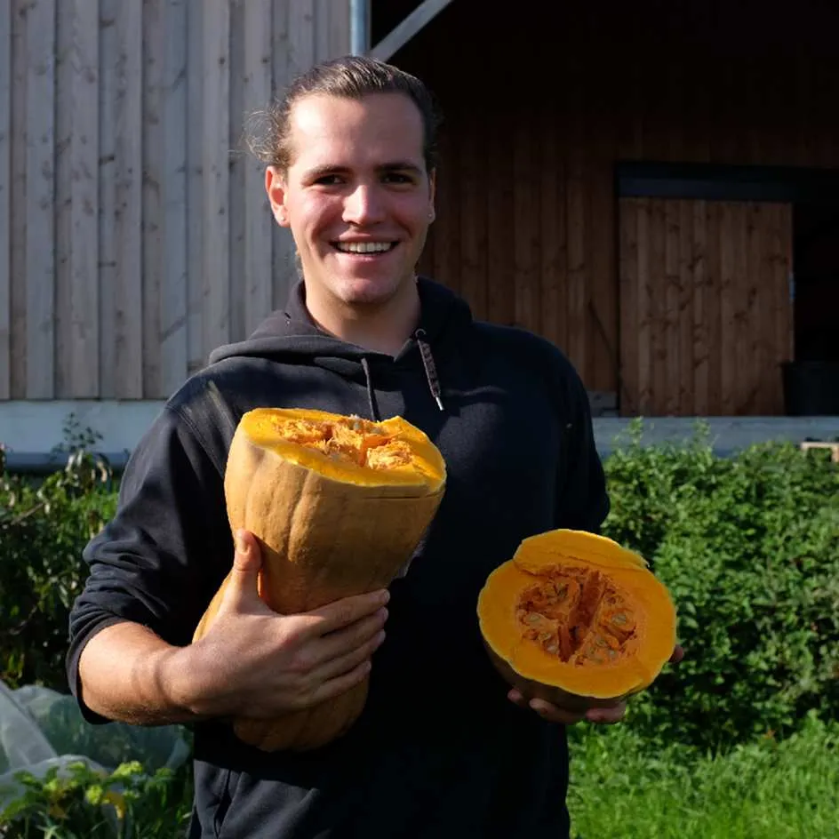 la-bo-te-graines-courge-musqu-e-violina-bio-graines-sucr-e-4-kg image 1