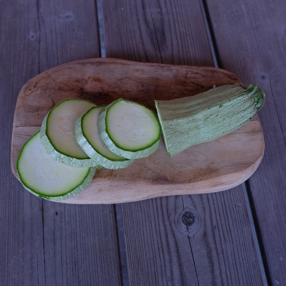 la-bo-te-graines-courgette-ortolana-di-faenza-bio-graines-fondante image 3