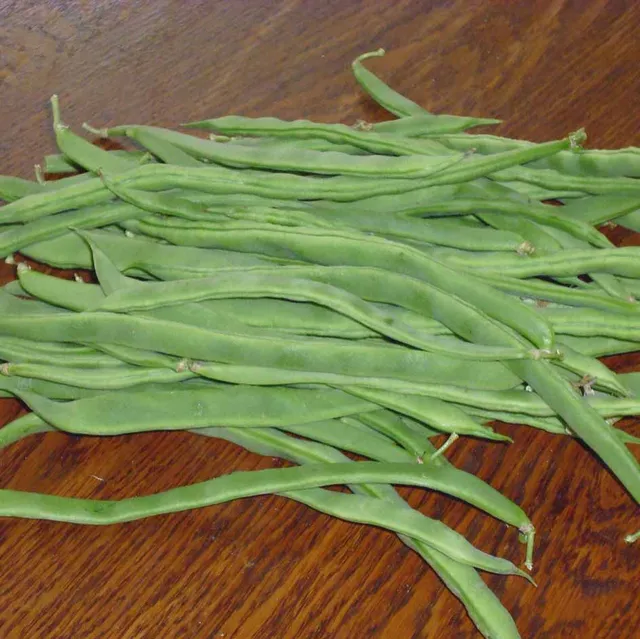 la-bo-te-graines-graines-l-gumes-ph-nom-ne-haricot-bio image 1