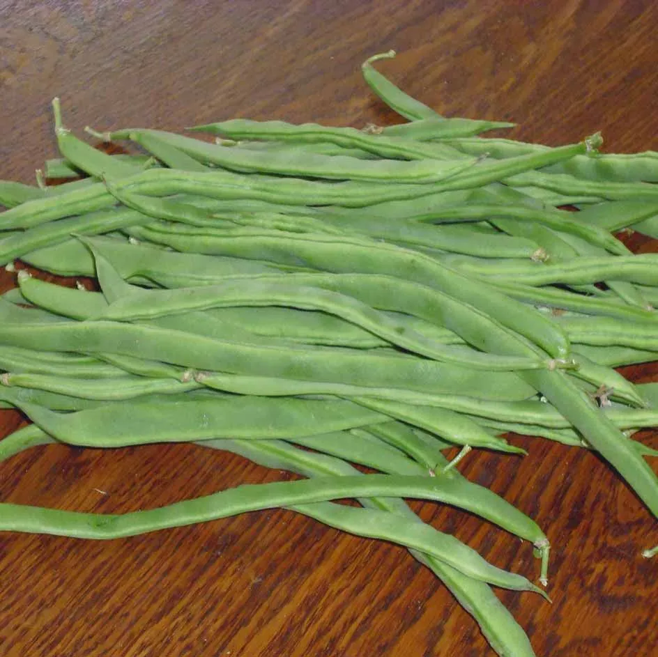 la-bo-te-graines-graines-l-gumes-ph-nom-ne-haricot-bio image 1