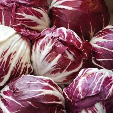 la-bo-te-graines-chicor-e-palla-rossa-3-graines-l-gumes-bio image 1