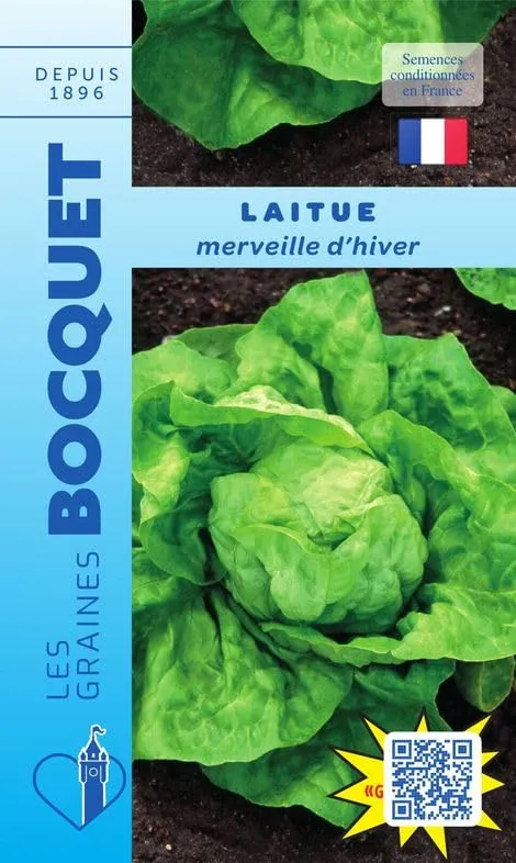 graines-bocquet-laitue-merveille-d-hiver-graines-4-g-pomm-e image 1
