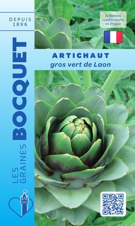 graines-bocquet-gros-vert-de-laon-graines-d-artichaut-2-g-rustique image 1