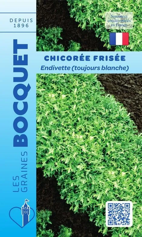 graines-bocquet-endivette-toujours-blanche-graines-chicor-e-4-g image 1