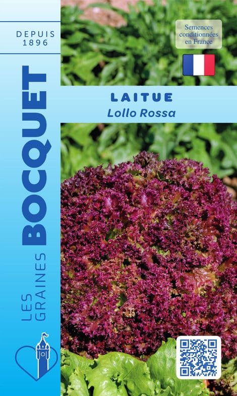 graines-bocquet-laitue-lollo-rossa-graines-potag-res-3-g-rouge image 1