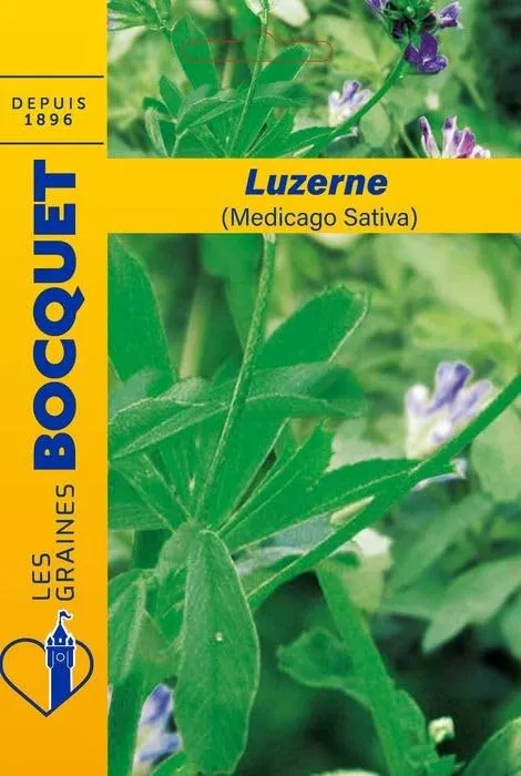 graines-bocquet-luzerne-graines-fleurs-100-g-vivace-couvert image 1