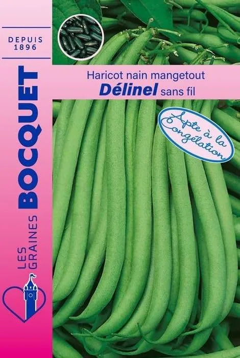 graines-bocquet-d-linel-graines-haricot-nain-sans-fil-80-g image 1